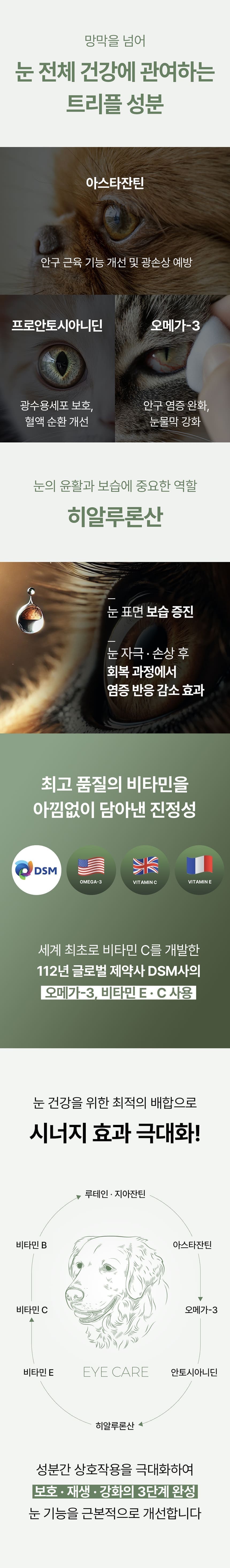 진정성 LZ 눈 영양제