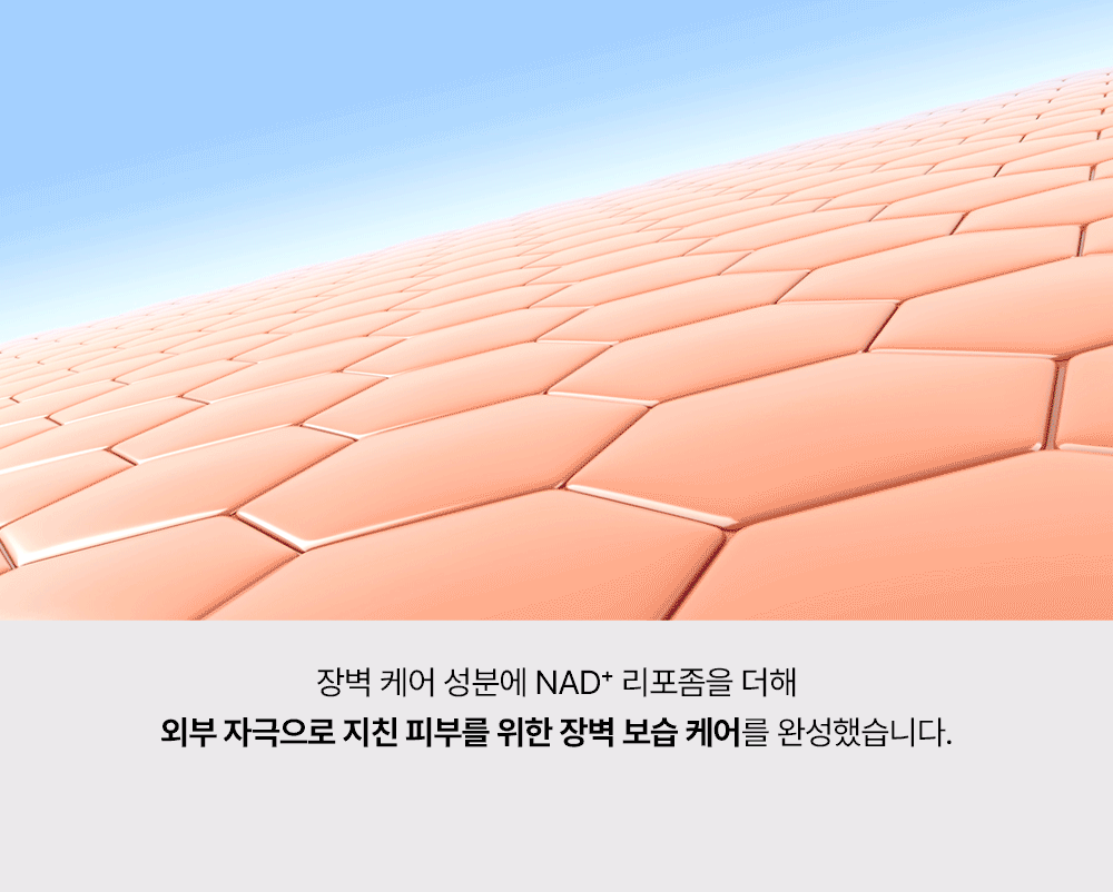 피코덤 NAD+ 리포좀 크림