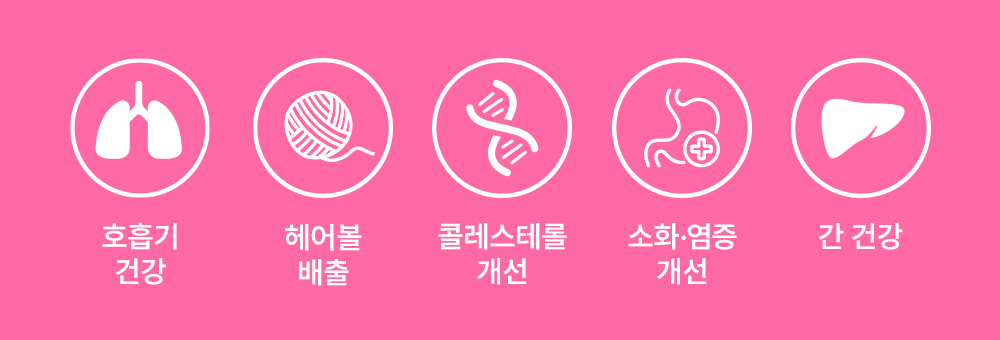 라이프펫 헤어볼&브리드 고양이 기관지영양제 30포
