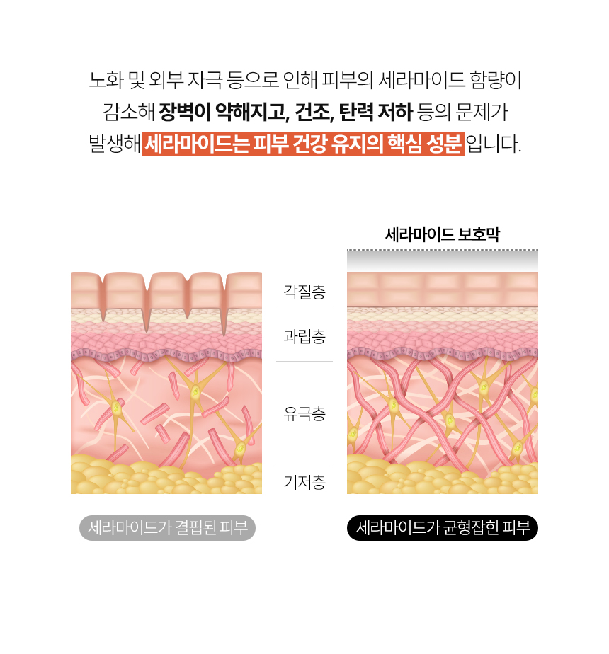 리바이탈럭스 이지에프 크림
