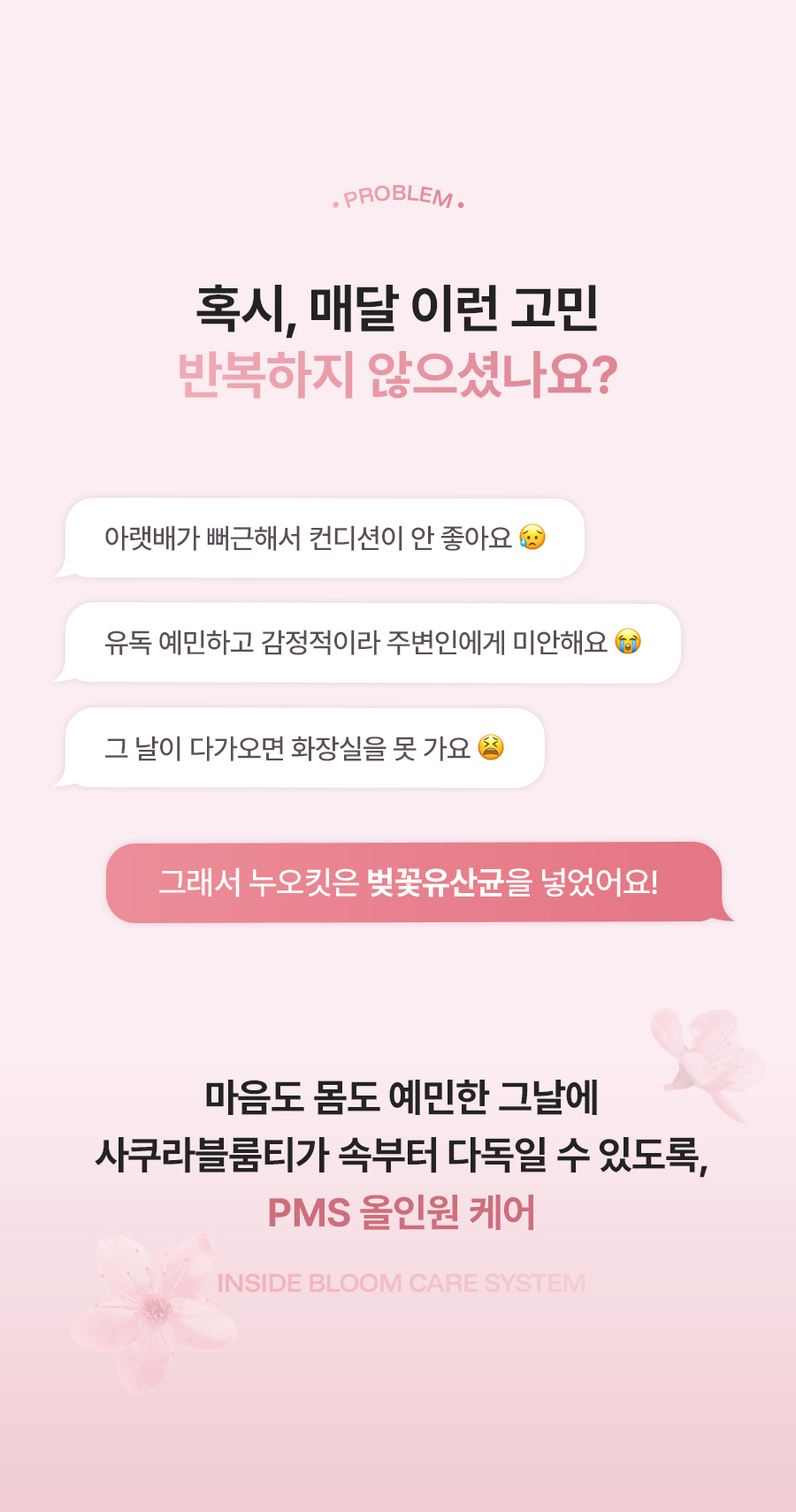 누오킷 사쿠라블룸티