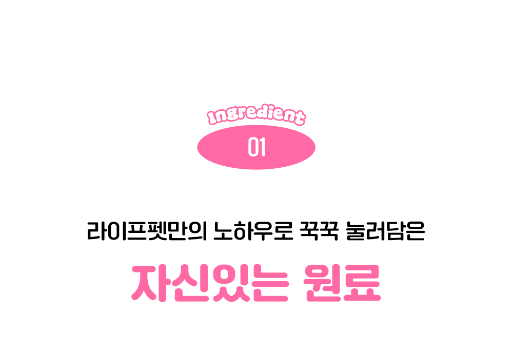라이프펫 헤어볼&브리드 고양이 기관지영양제 30포