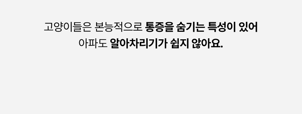 라이프펫 유리나리 고양이 신장영양제 30포