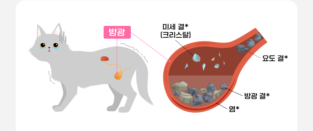라이프펫 유리나리 고양이 신장영양제 30포