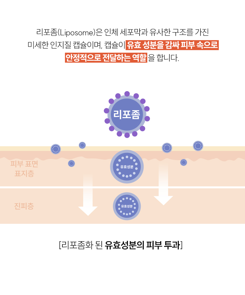 리바이탈럭스 이지에프 크림