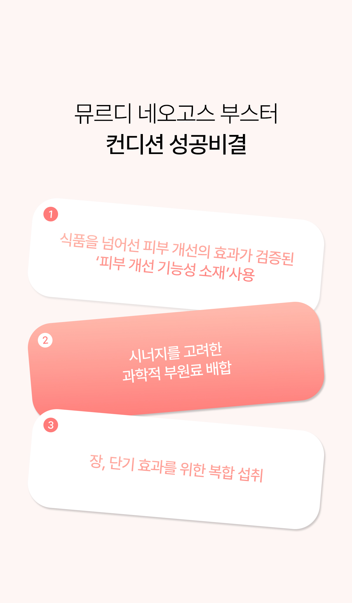 뮤르디 파이테론 네오고스 부스터
