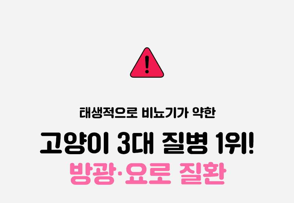 라이프펫 유리나리 고양이 신장영양제 30포