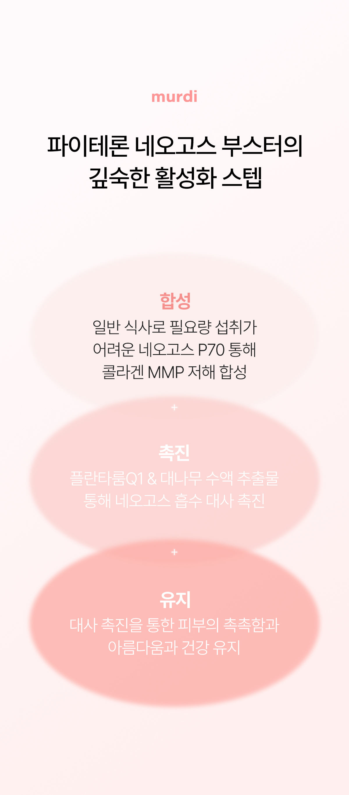 뮤르디 파이테론 네오고스 부스터