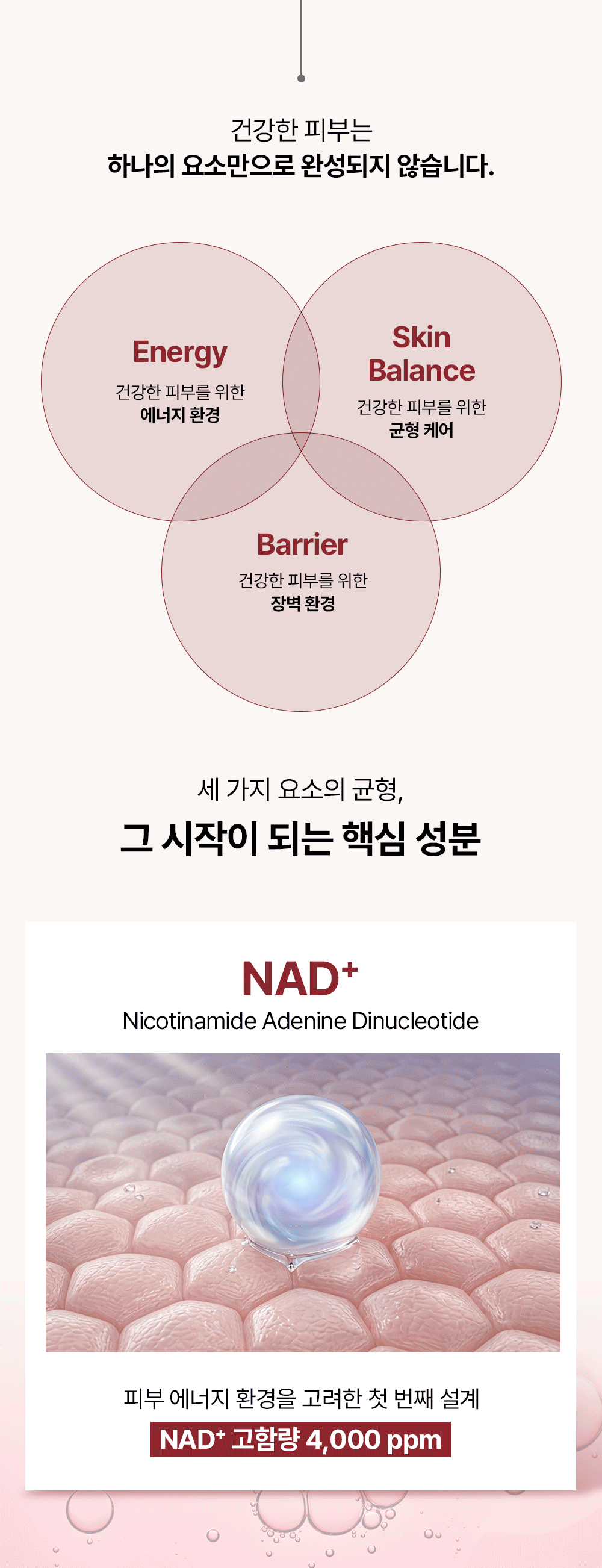 피코덤 NAD+ 리포좀 앰플