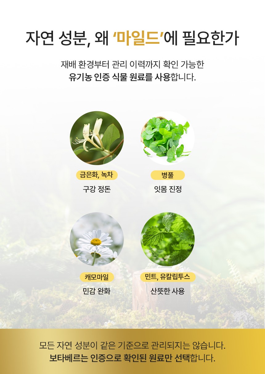 보타베르 마일드 센서티브케어 치약