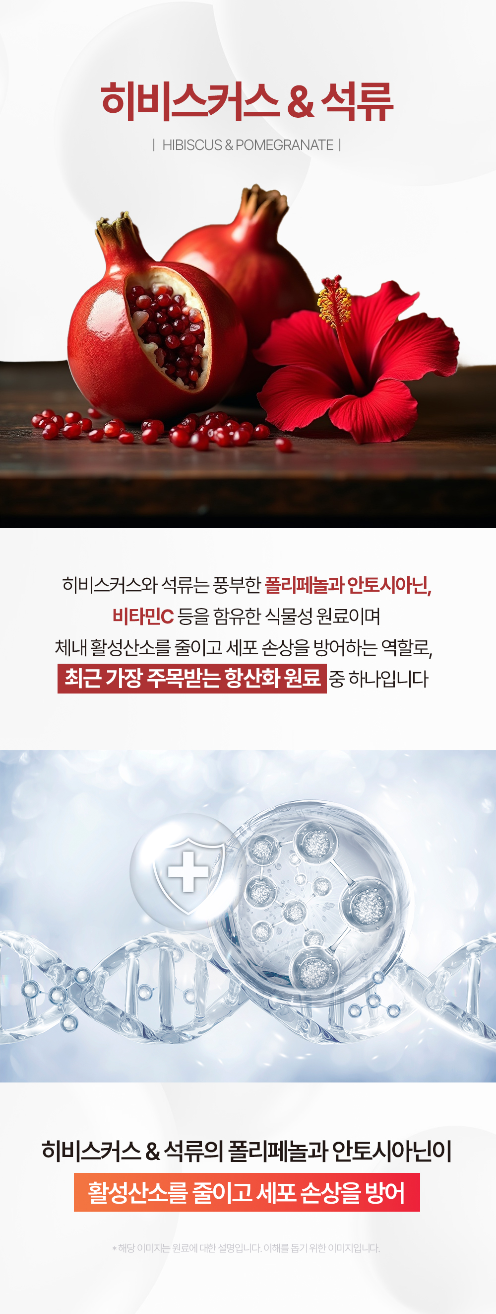 제로바디 골드컷