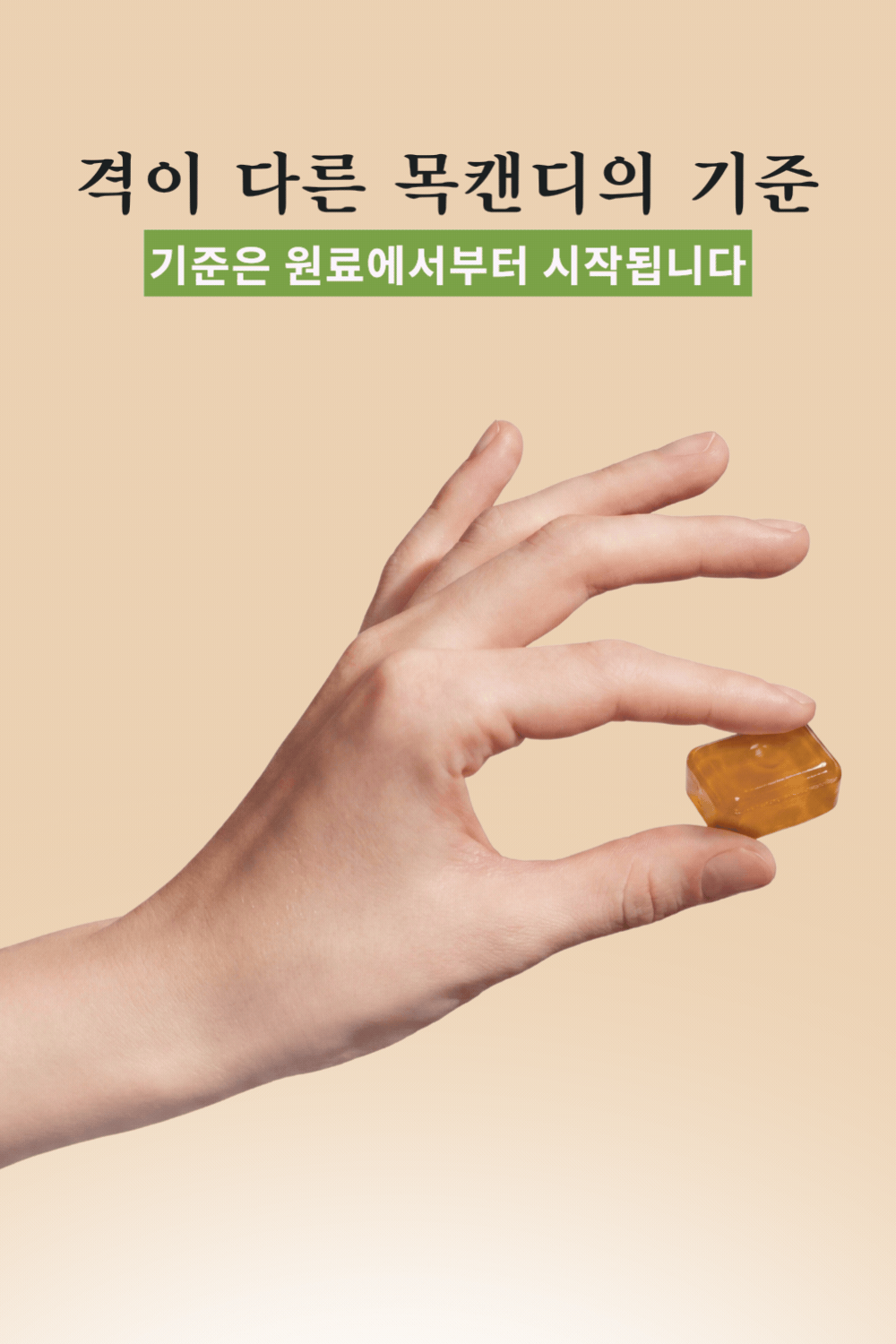롤리봉스