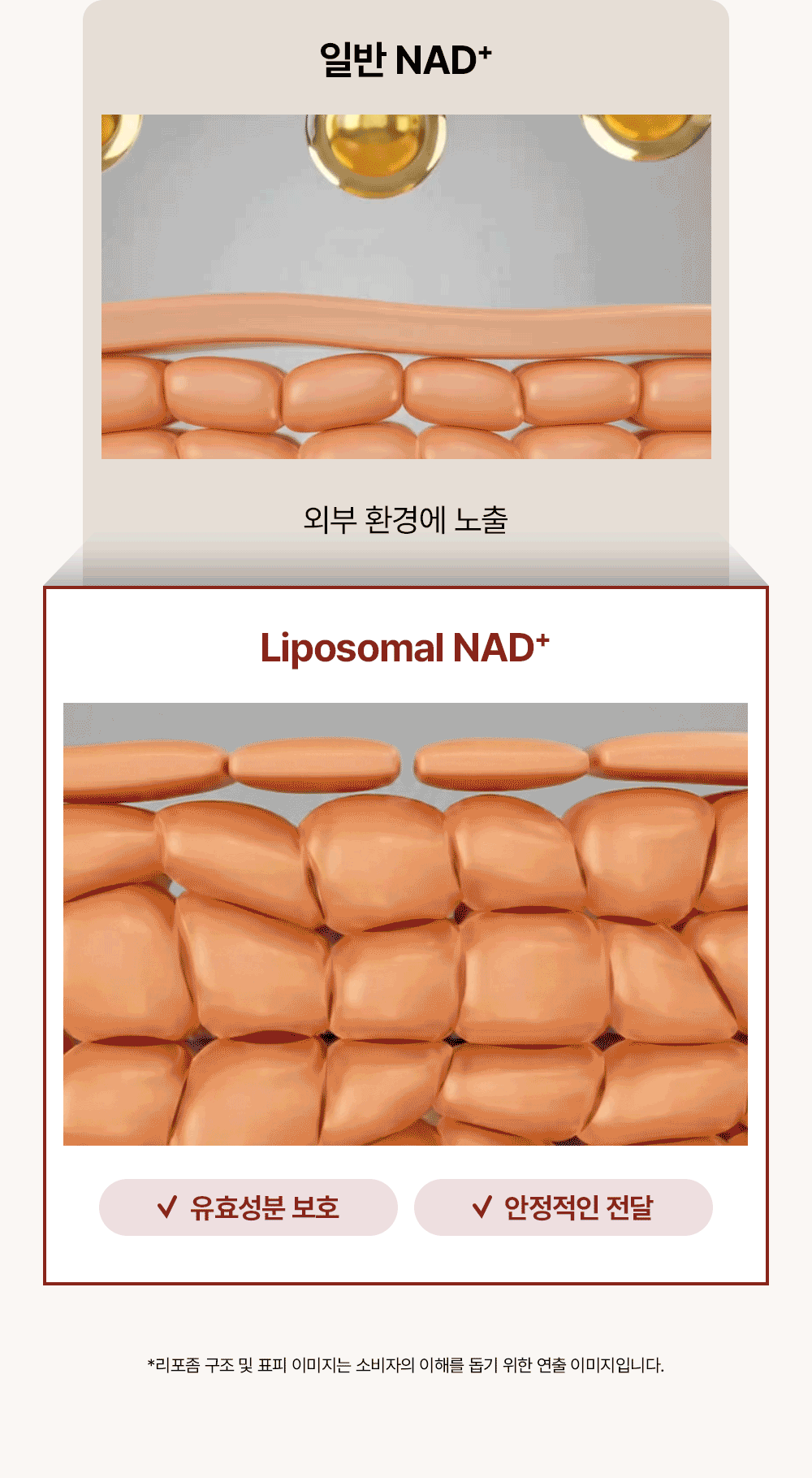 피코덤 NAD+ 리포좀 크림
