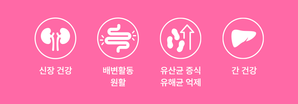 라이프펫 유리나리 고양이 신장영양제 30포