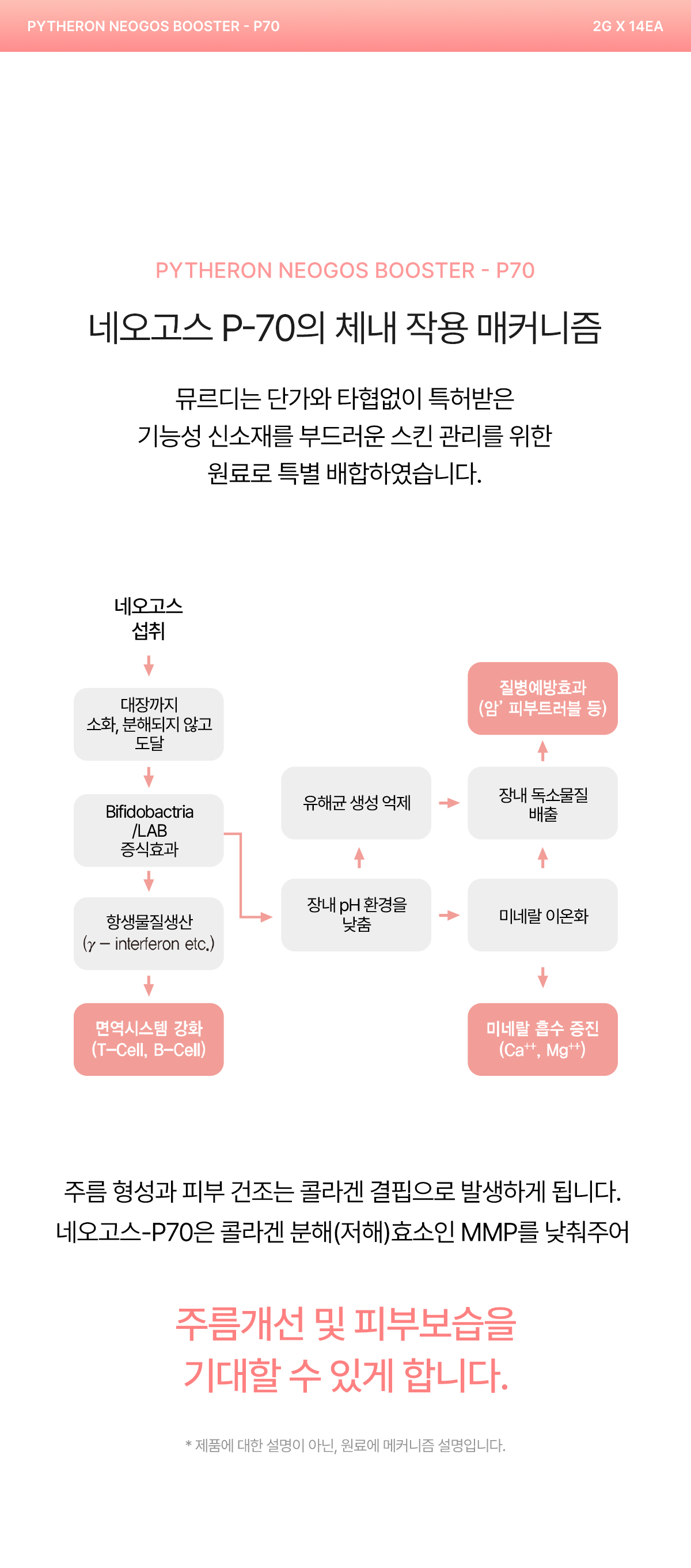 뮤르디 파이테론 네오고스 부스터