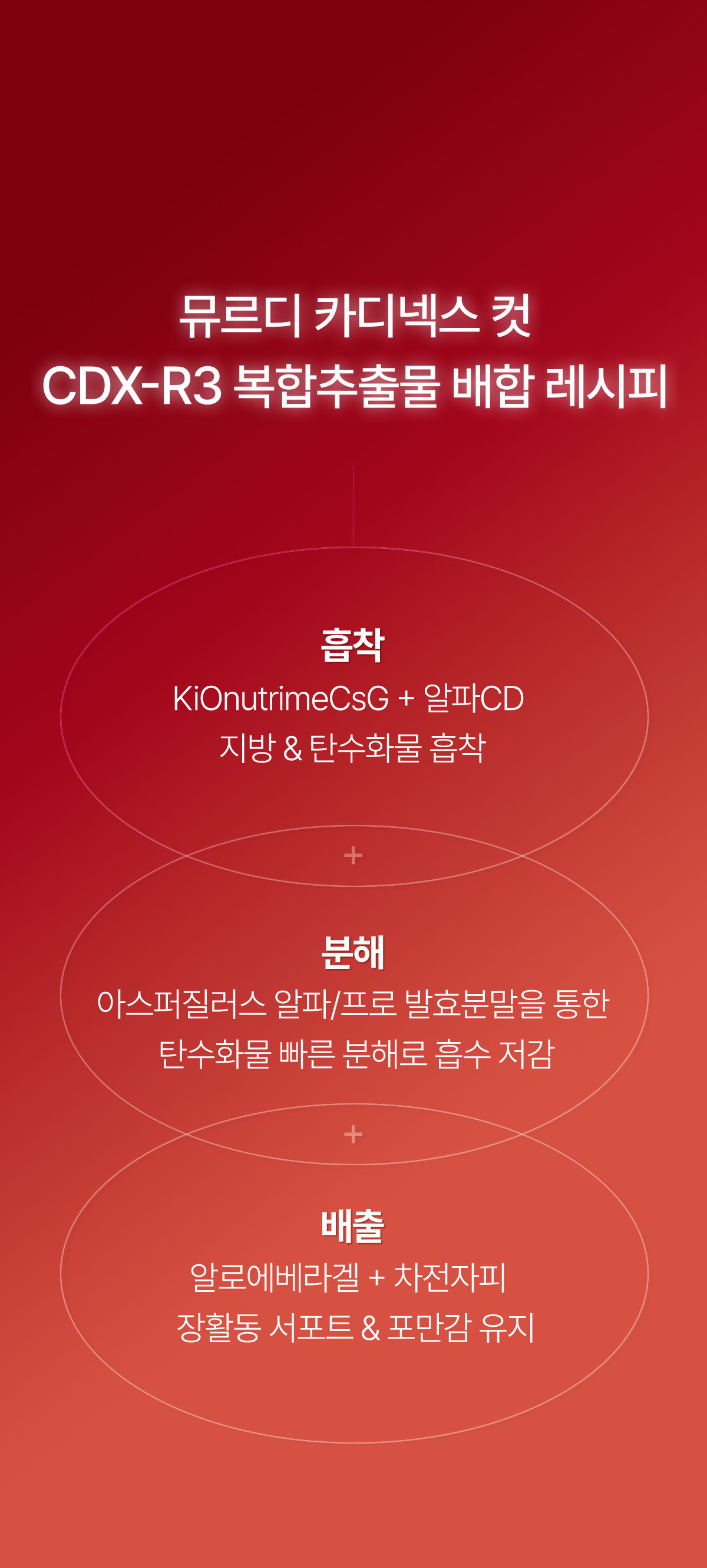 뮤르디 카디넥스 컷 CDX-R3