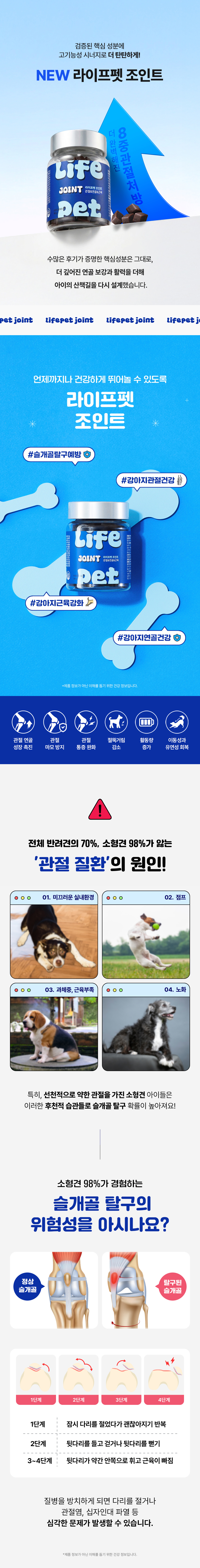 라이프펫 조인트 미니 강아지 관절 영양제 20개입