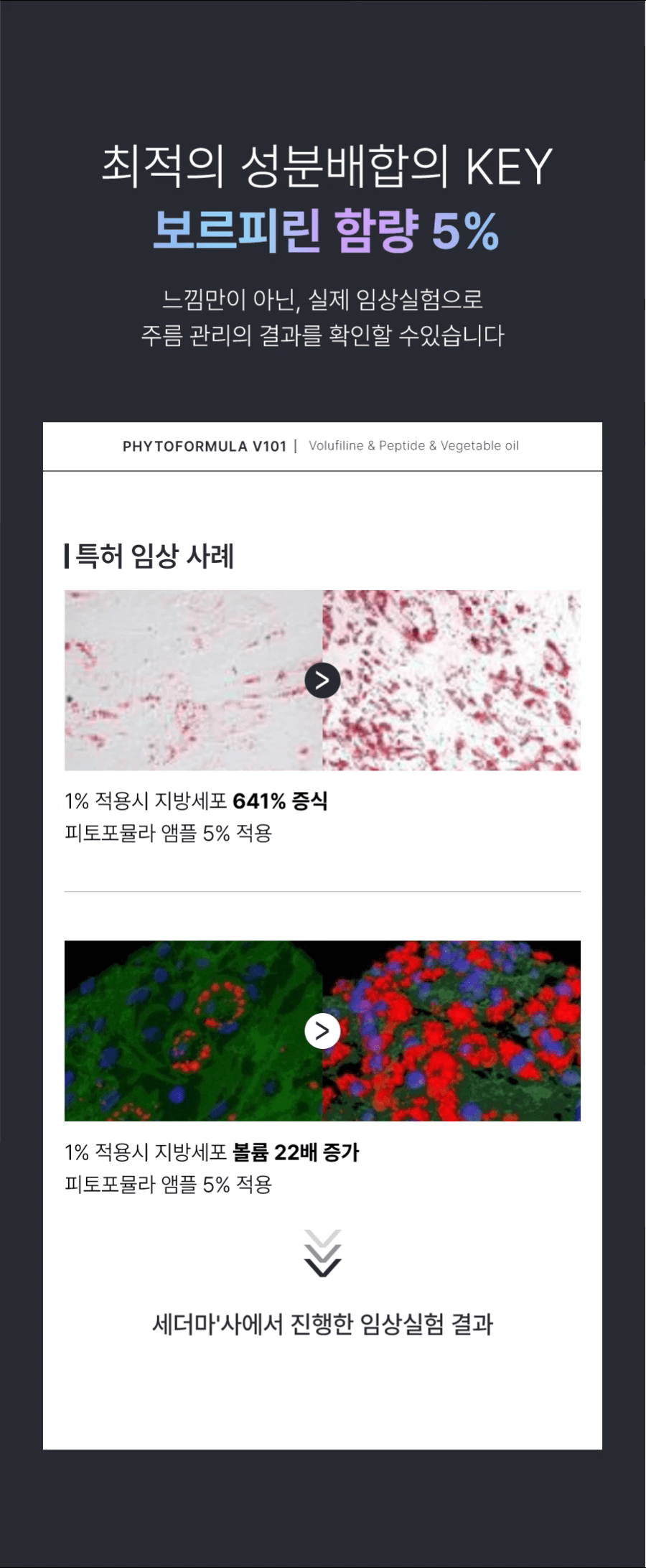 j15.gif