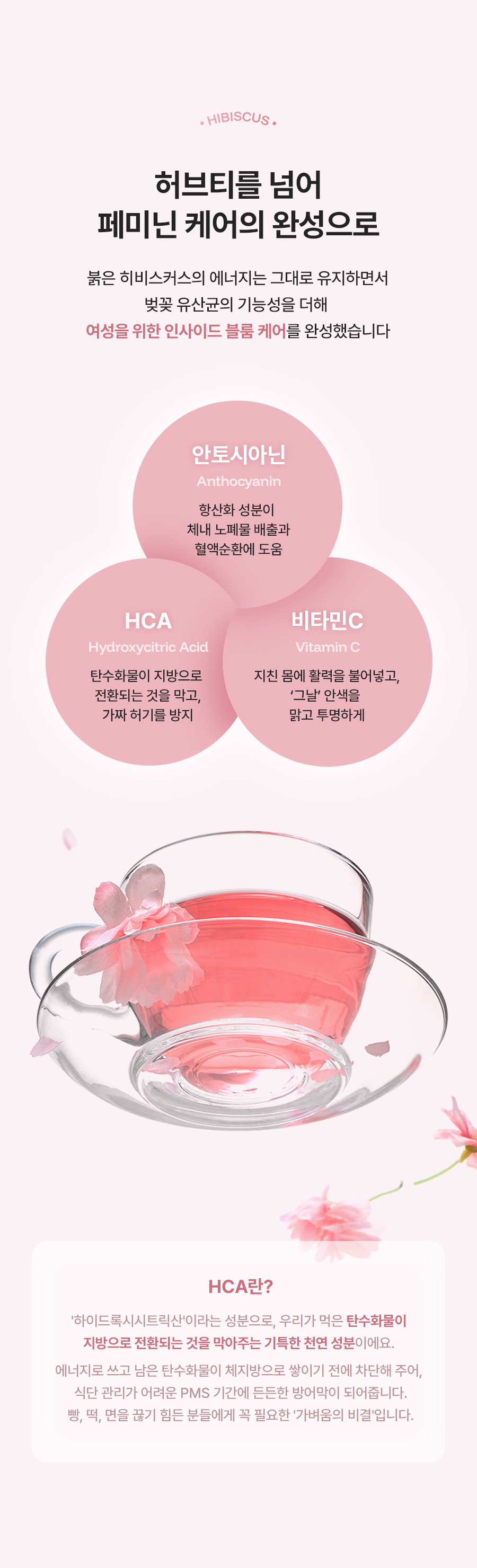 누오킷 사쿠라블룸티