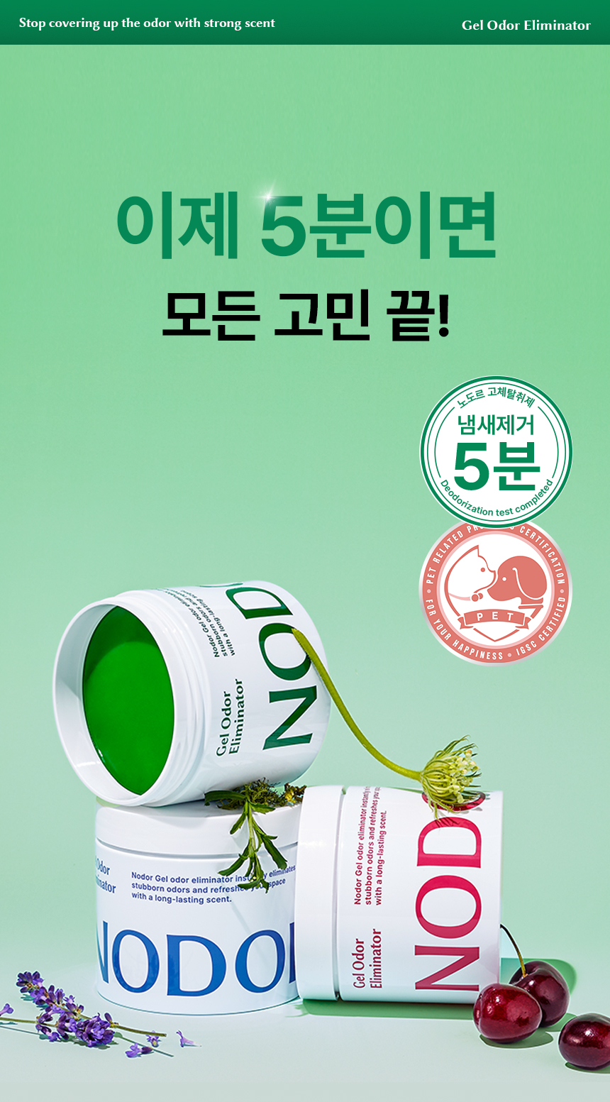 노도르 고체탈취제 380g 그린우드