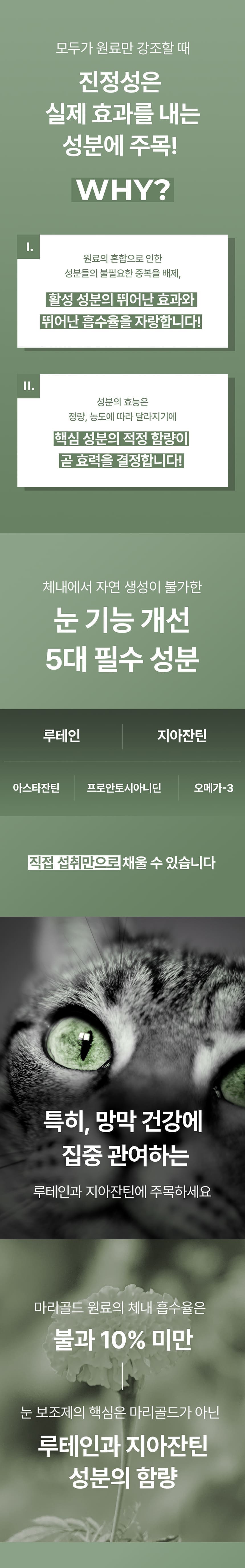 진정성 LZ 눈 영양제