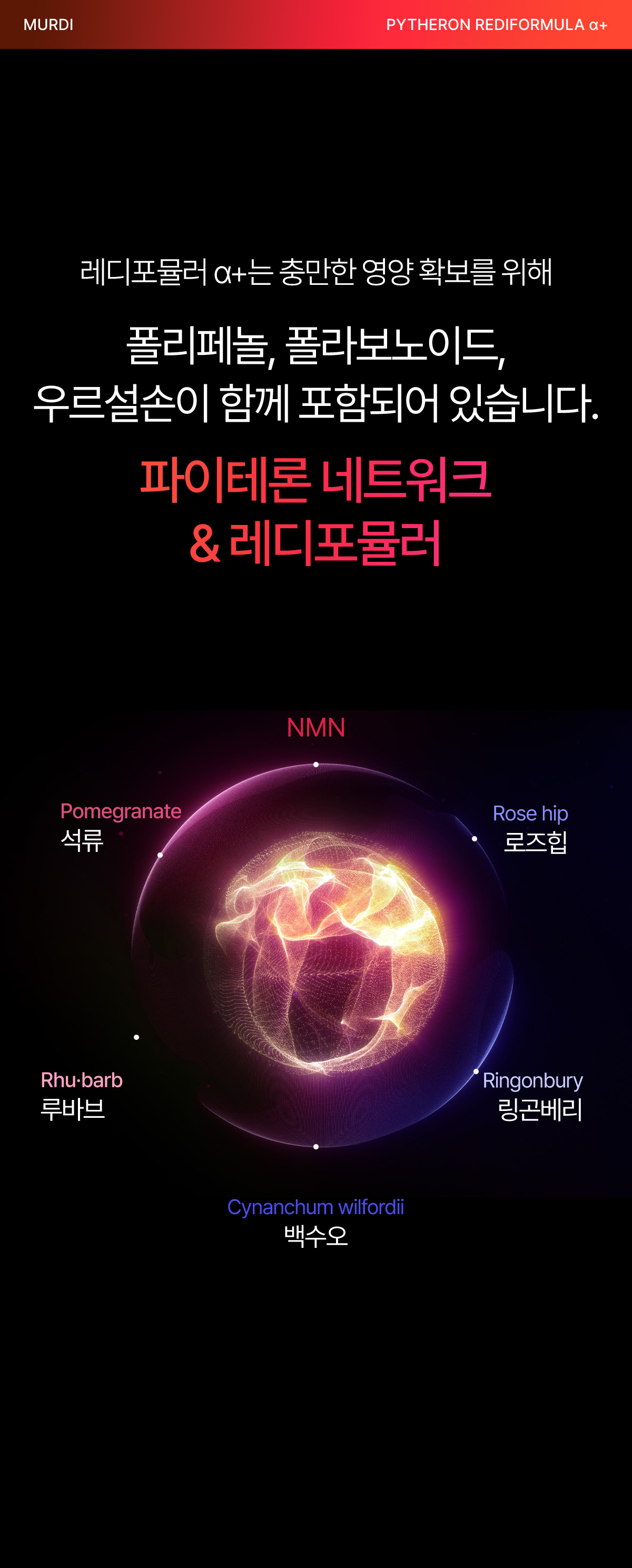 뮤르디 파이테론 레디포뮬러 α+