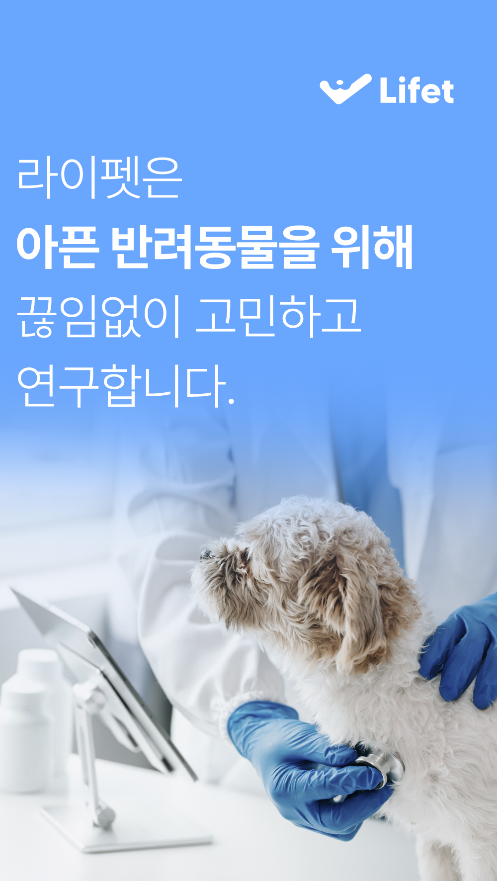 진정성 GC 관절 영양제