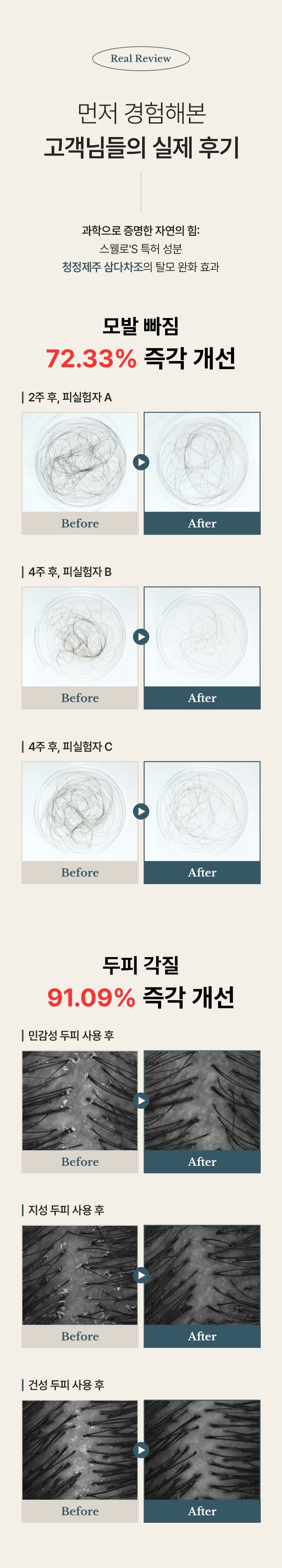 스웰로 더 블룸 제주차조 비건 두피 동안 탈모 앰플