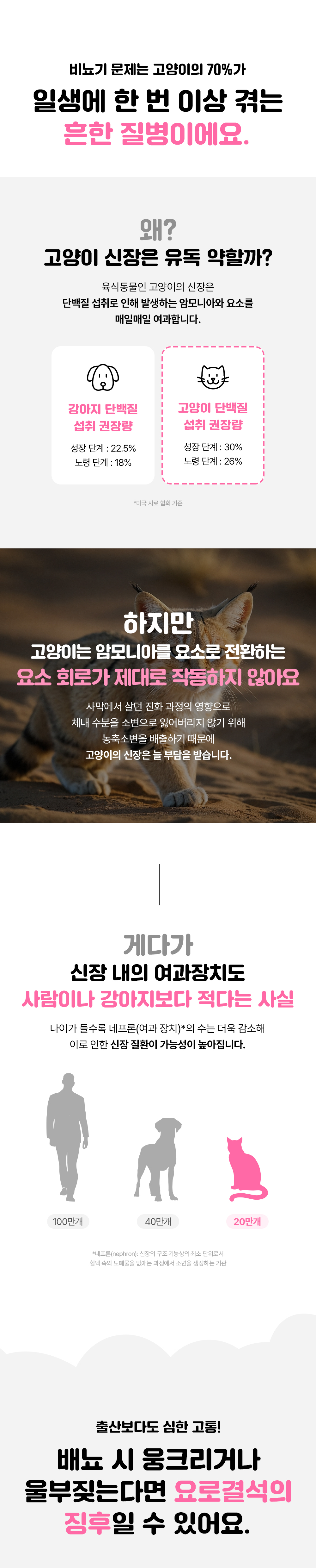 라이프펫 유리나리 고양이 신장영양제 30포