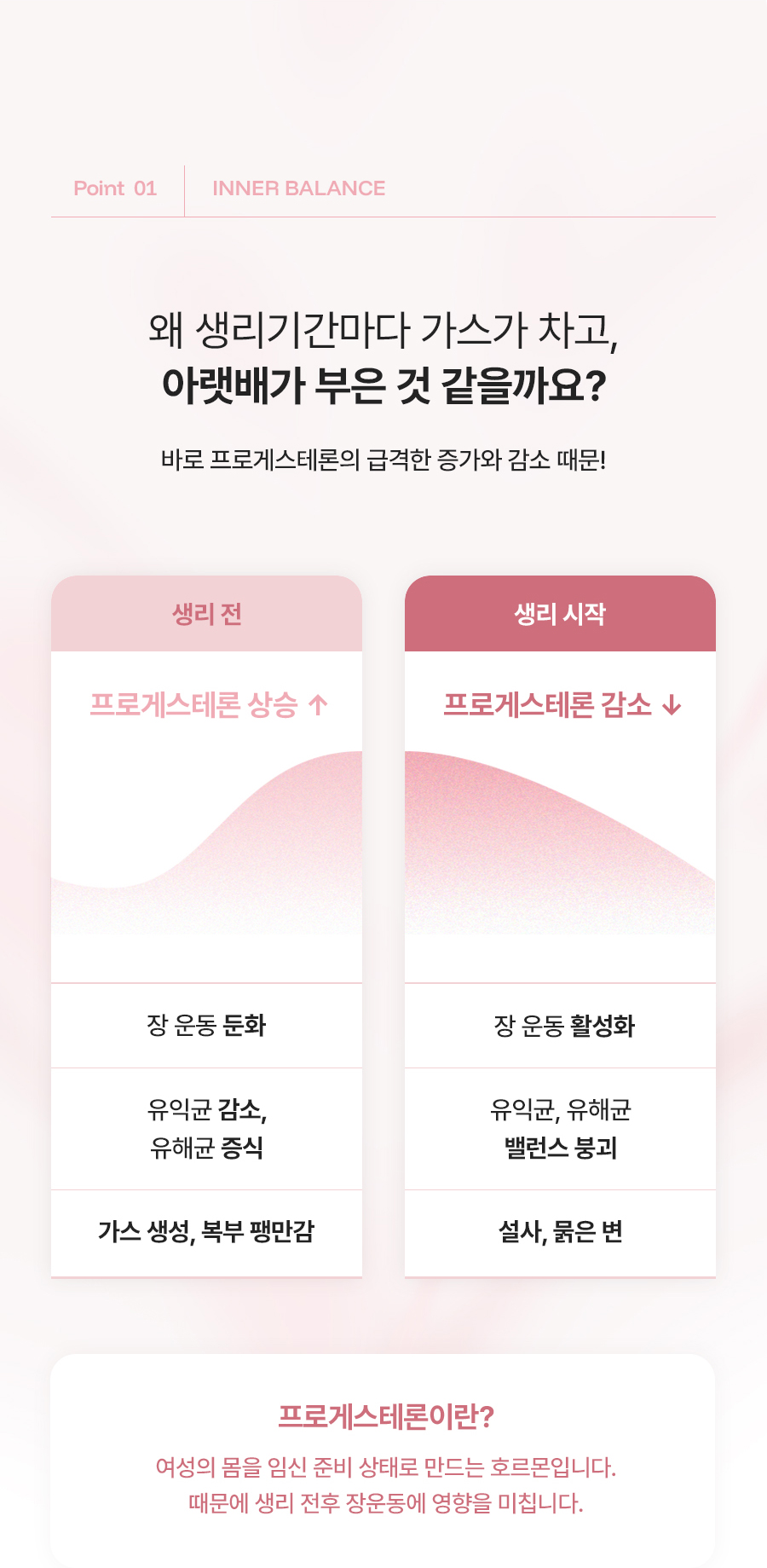 누오킷 사쿠라블룸티