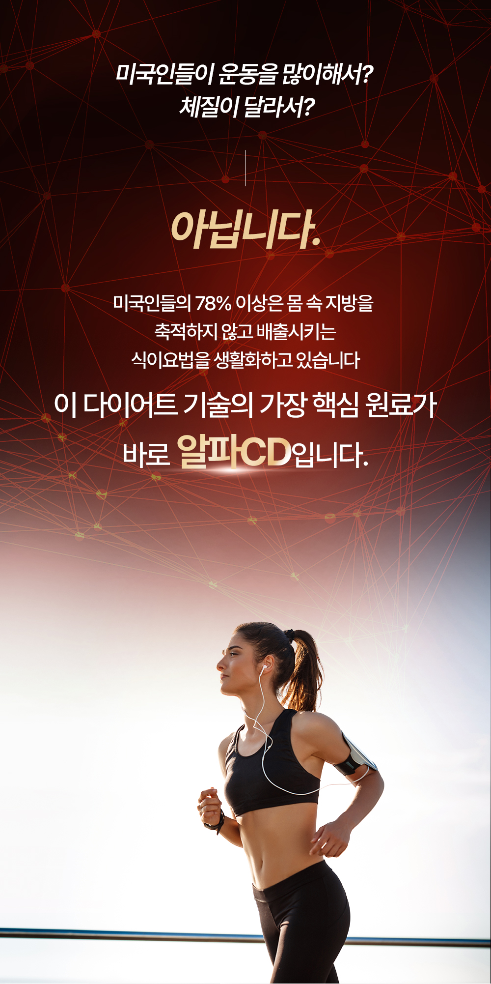 제로바디 이지컷