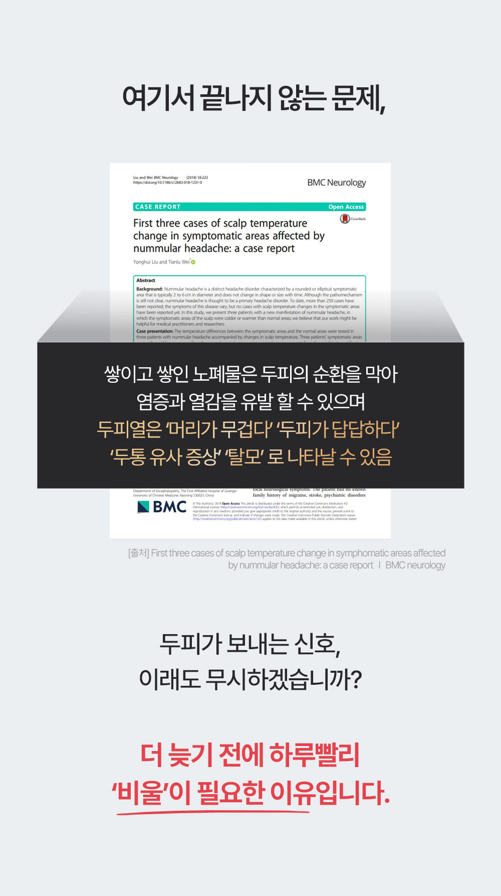 포셰리 비울 두피스케일러