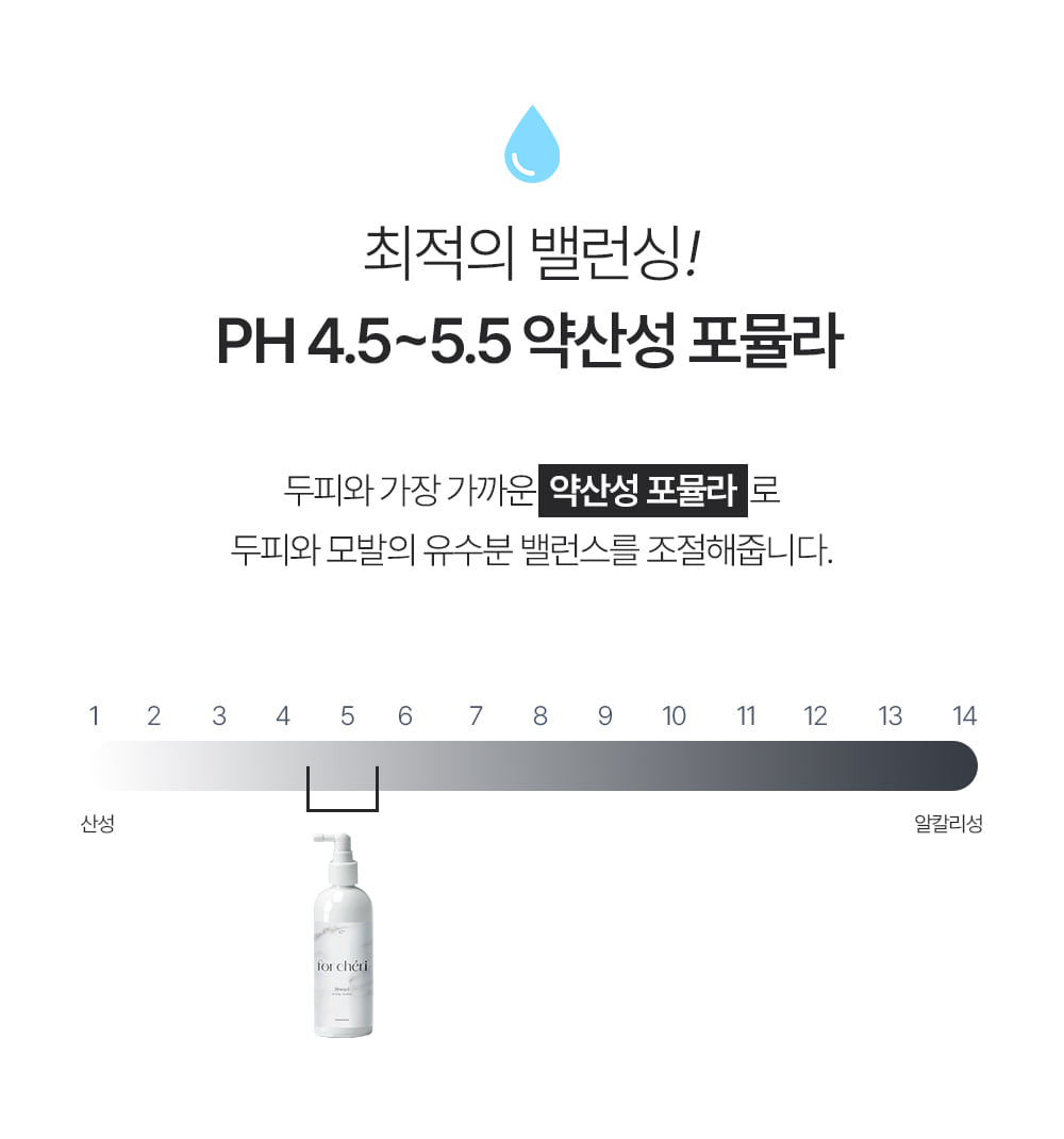 포셰리 비울 두피스케일러