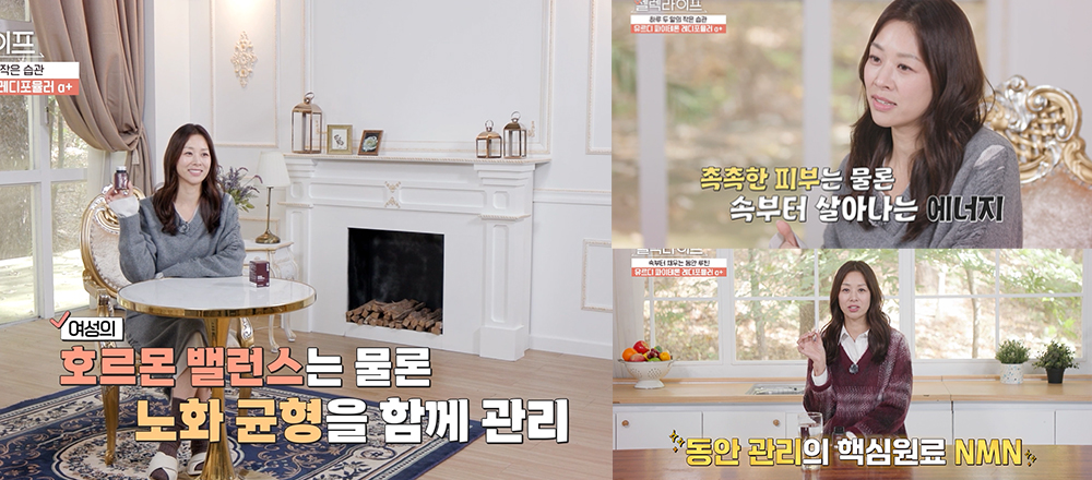 뮤르디 파이테론 레디포뮬러 α+
