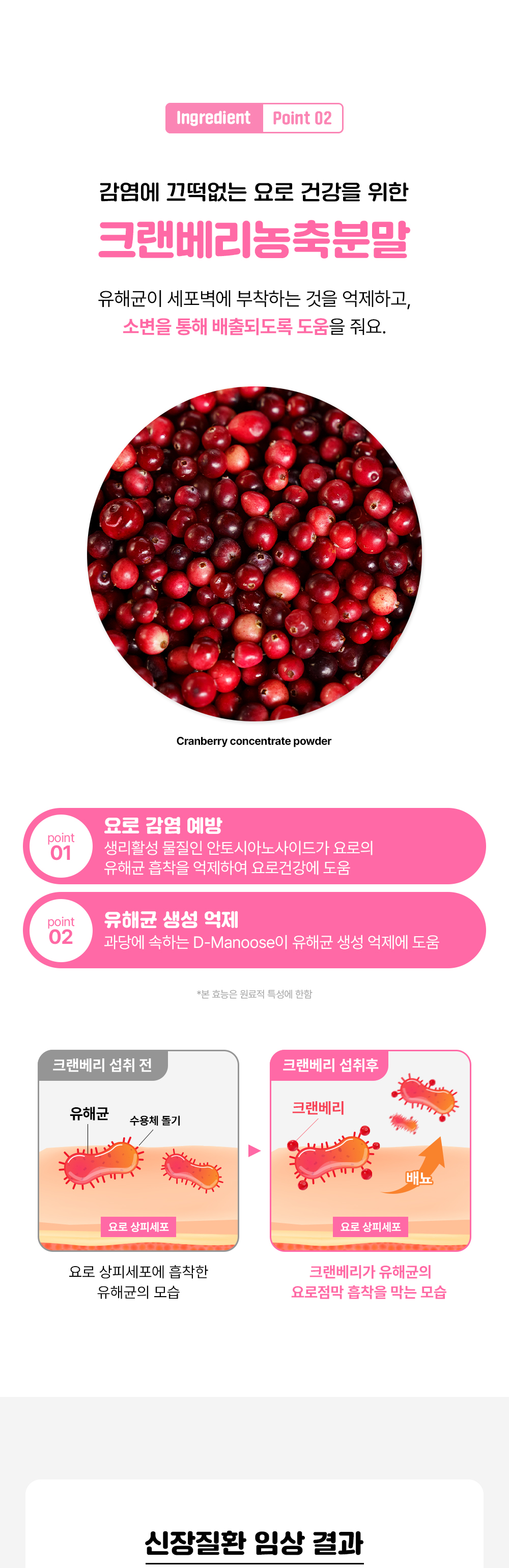 라이프펫 유리나리 고양이 신장영양제 30포