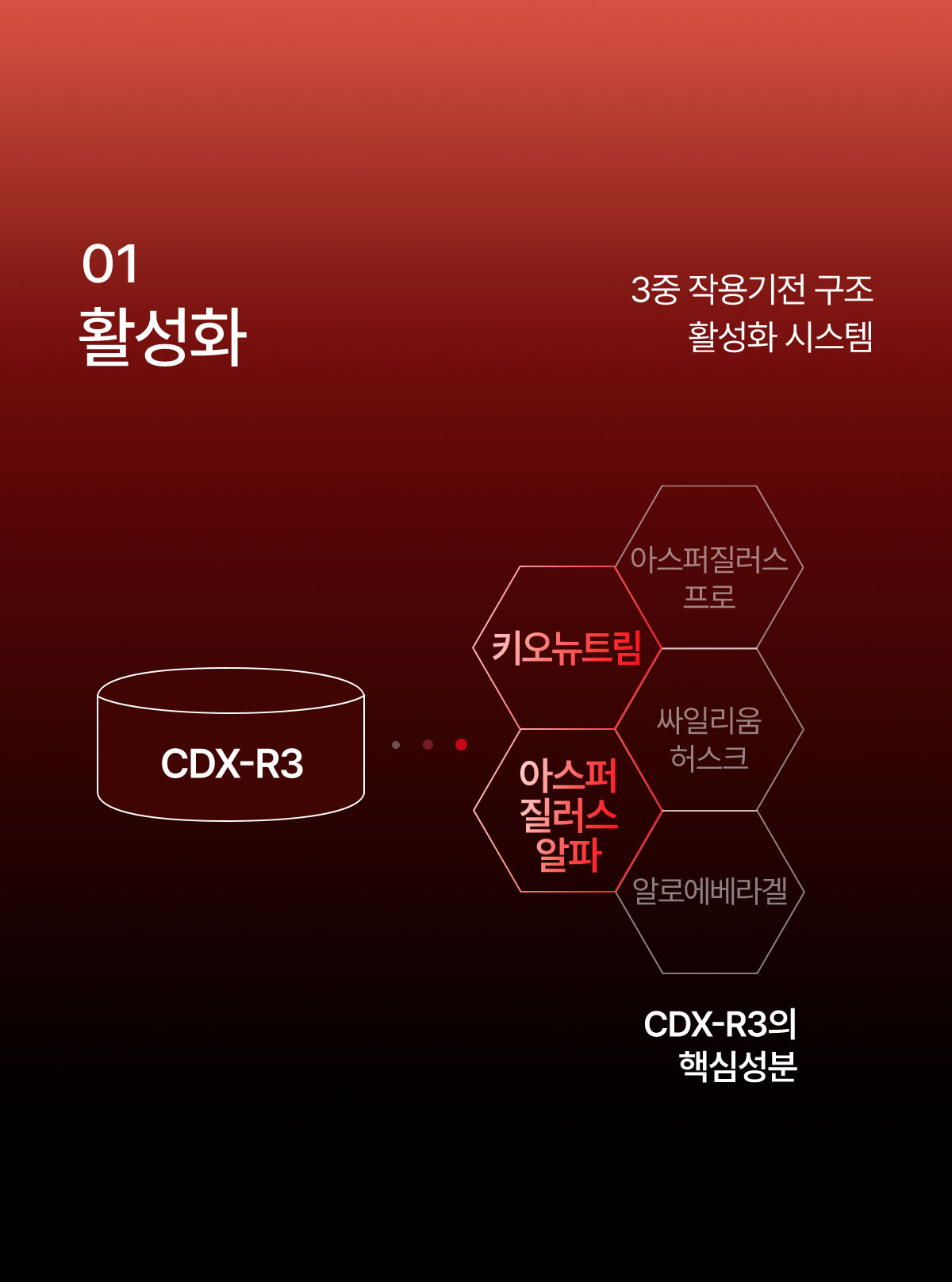 뮤르디 카디넥스 컷 CDX-R3