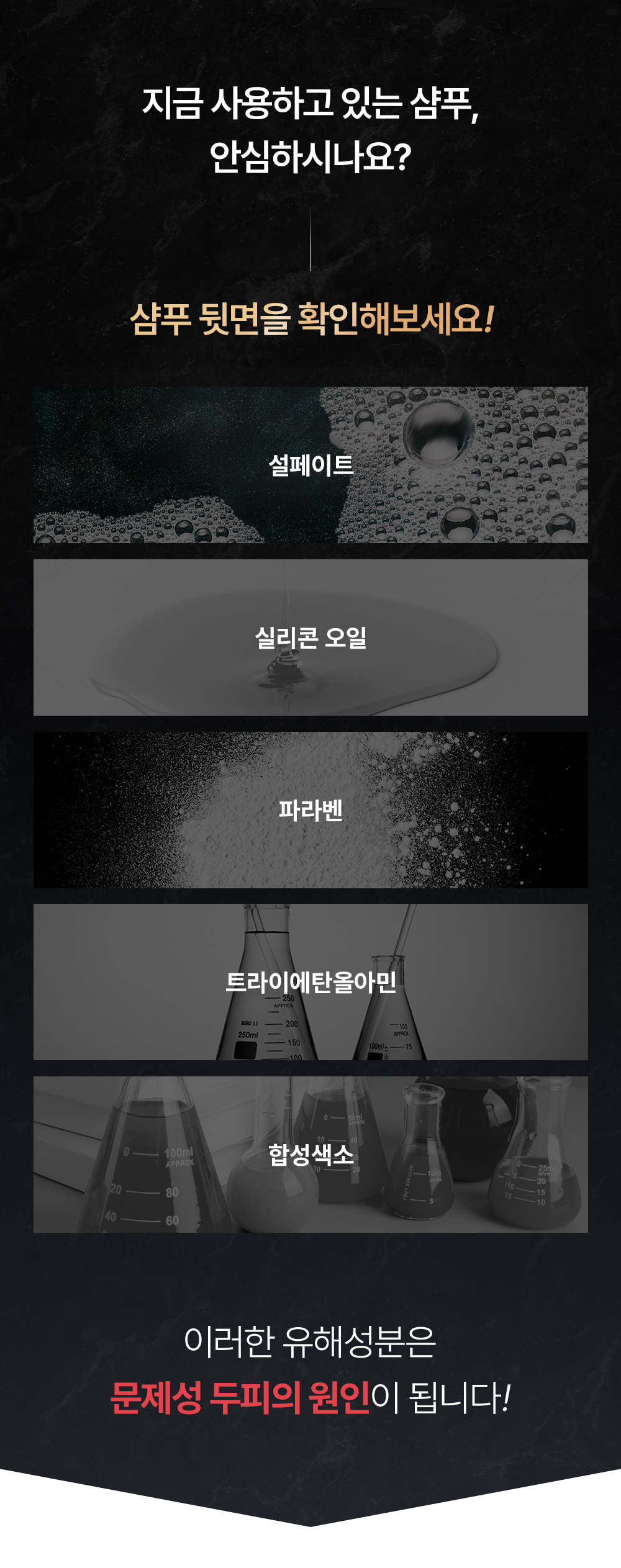 포셰리 채울 샴푸