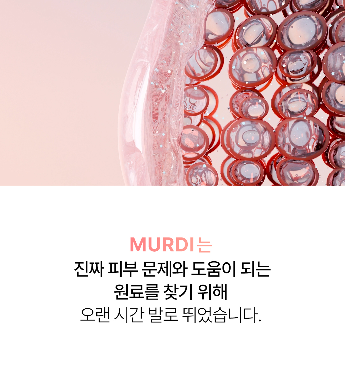 뮤르디 파이테론 네오고스 부스터