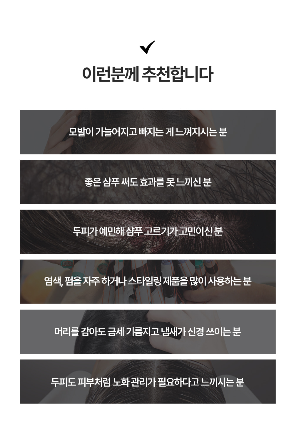 포셰리 채울 샴푸