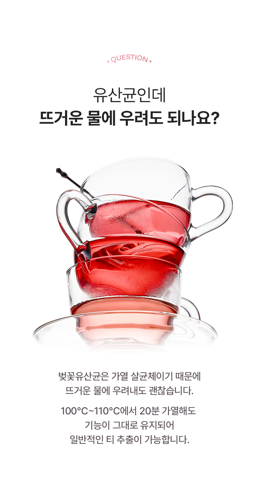 누오킷 사쿠라블룸티