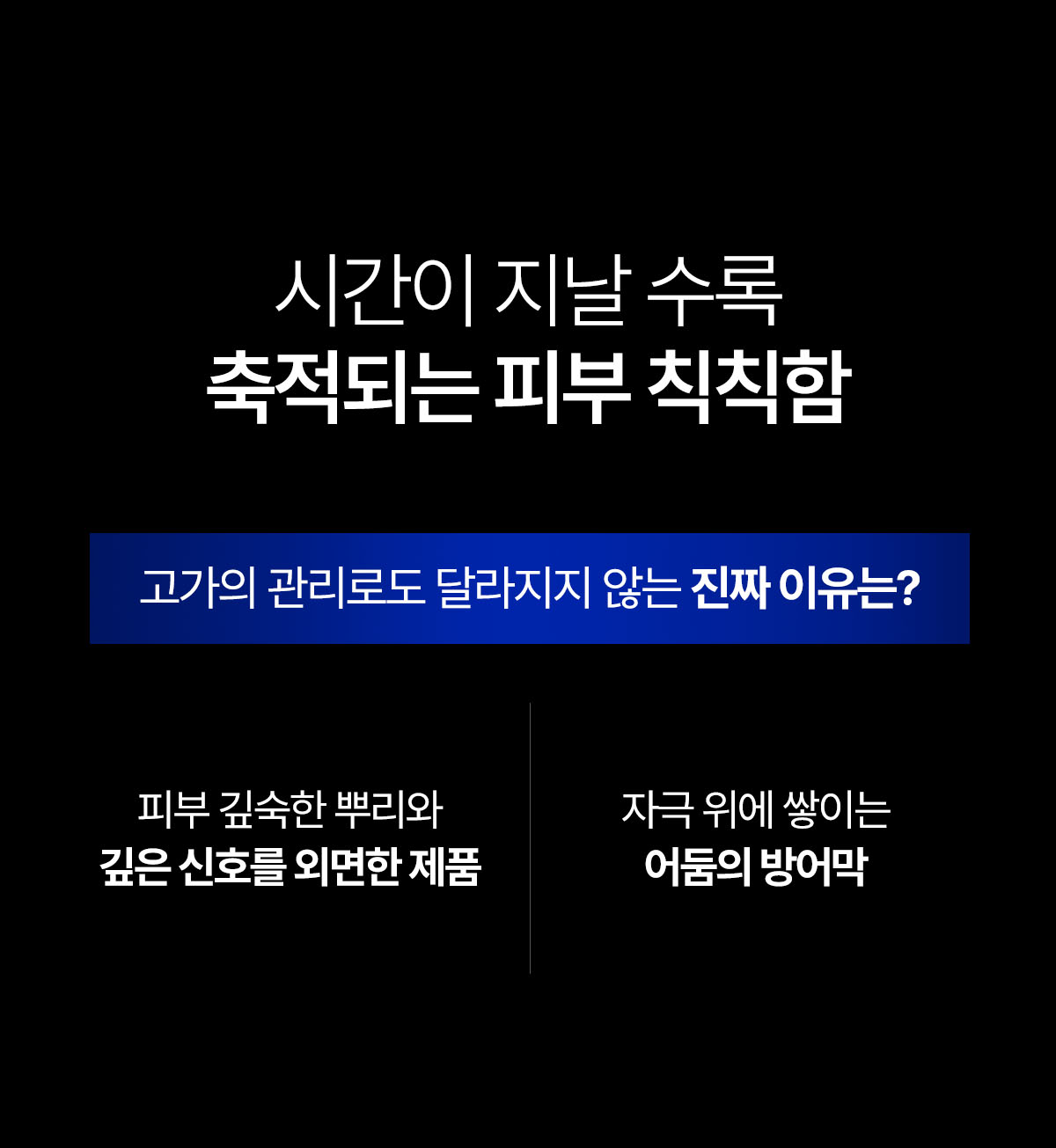 뮤르디 트라닉사 클리어 포뮬러