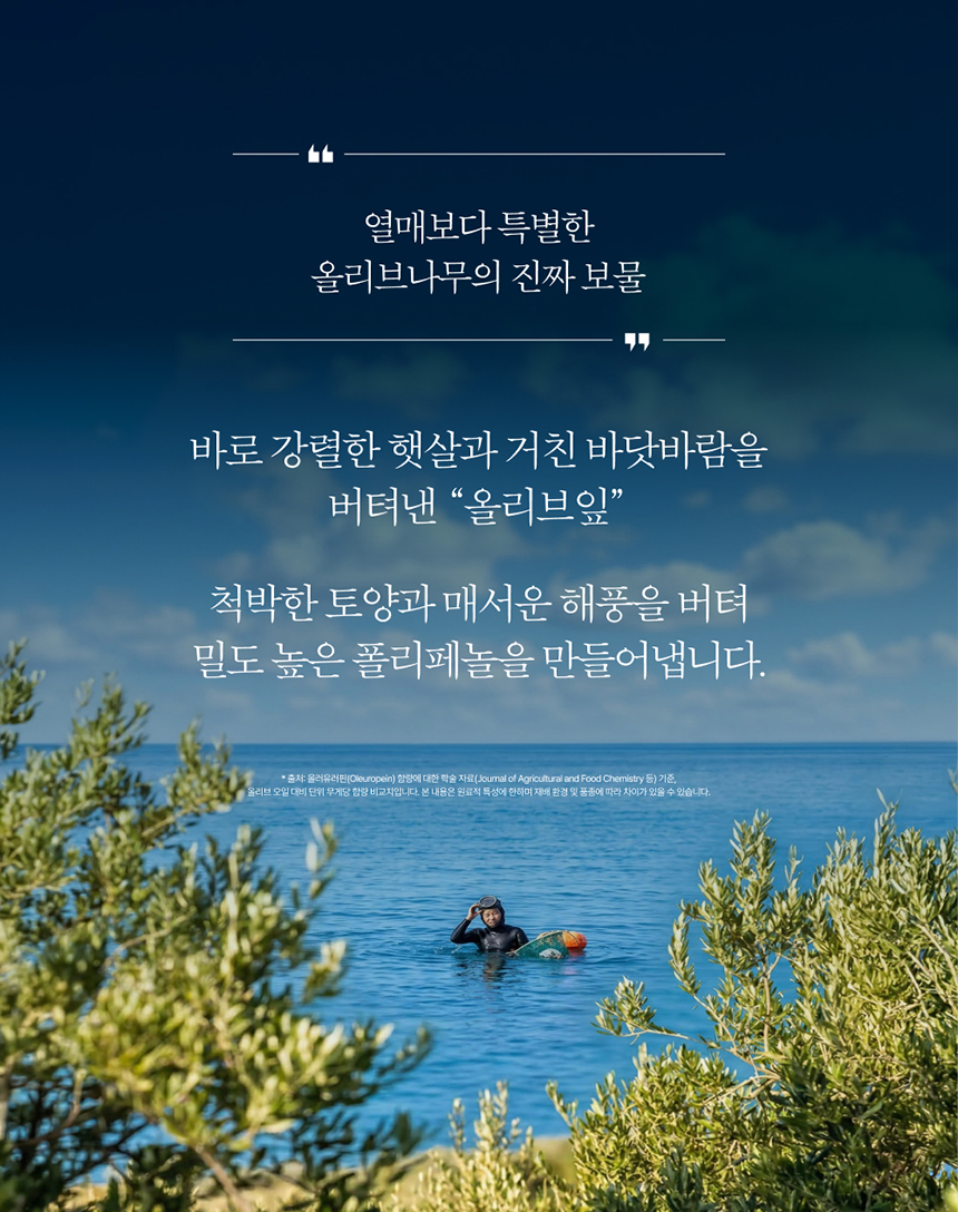 럽티 레몬녹차 복제
