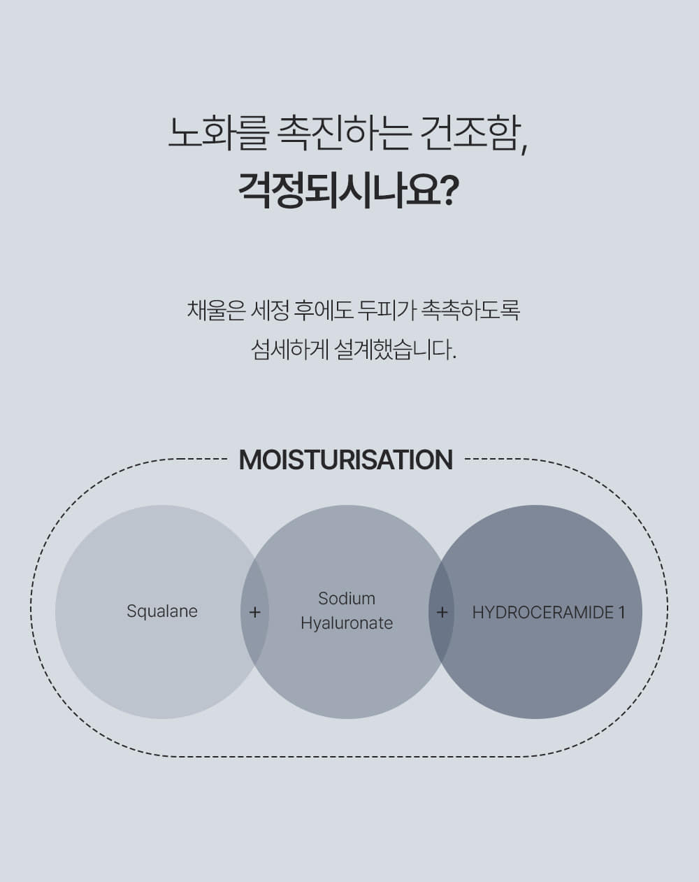 포셰리 채울 샴푸