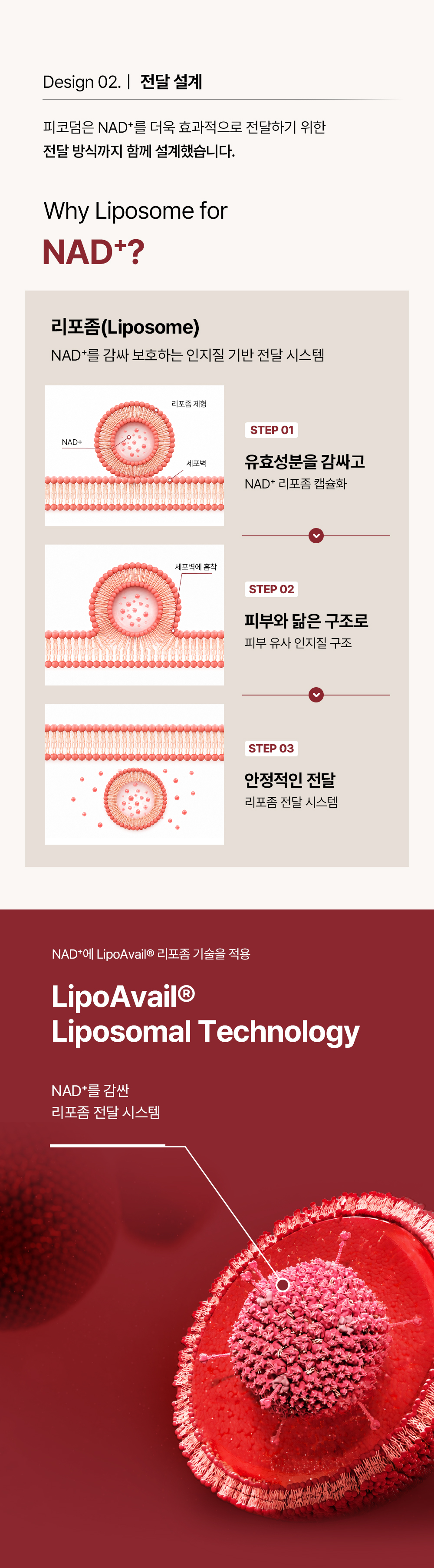 피코덤 NAD+ 리포좀 앰플