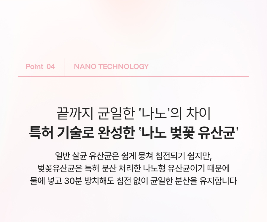 누오킷 사쿠라블룸티