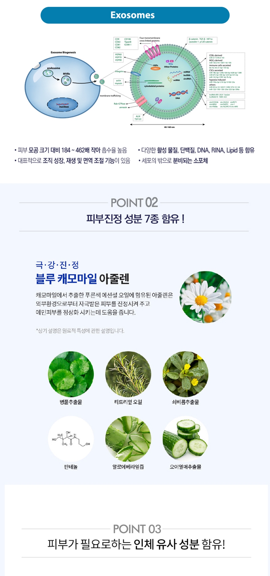 프리미엄 엑소줄렌 에이지 리셋 크림