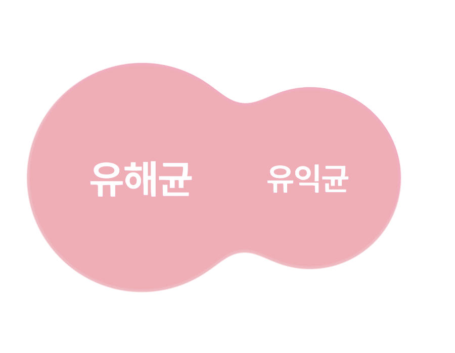 누오킷 사쿠라블룸티
