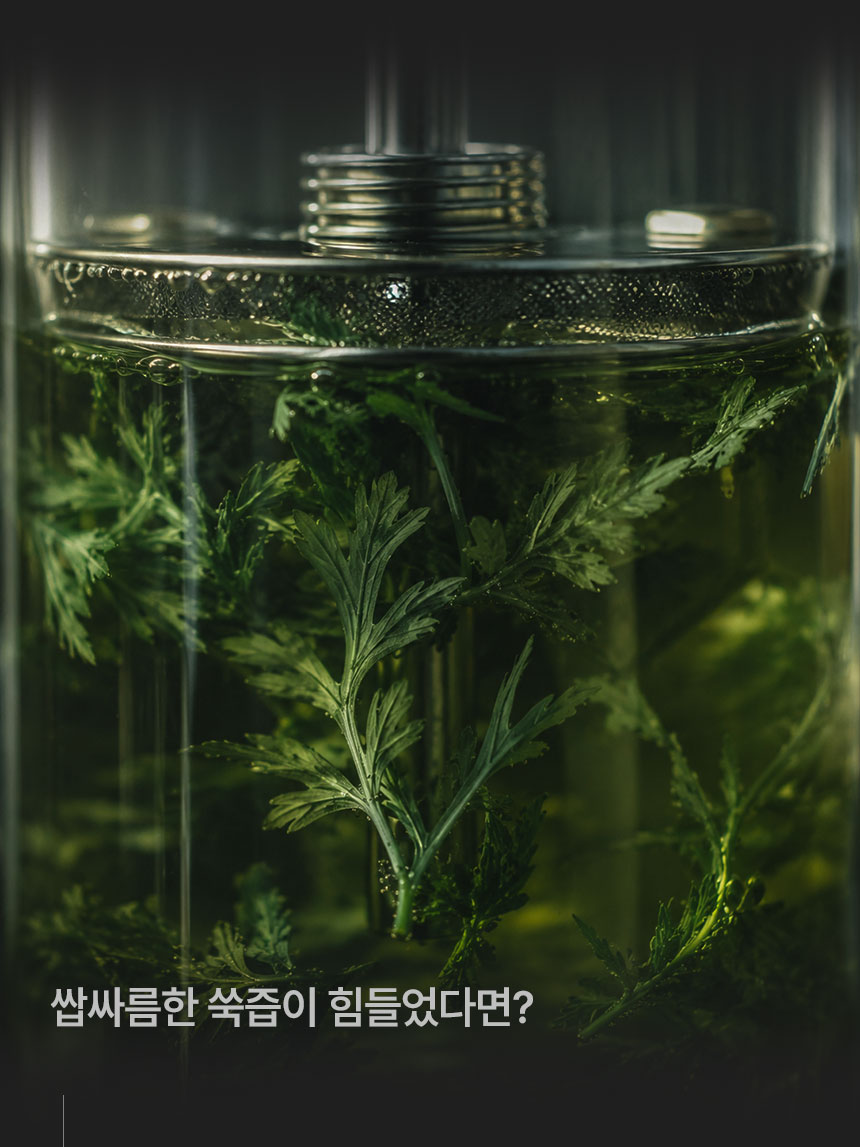 쑥핏