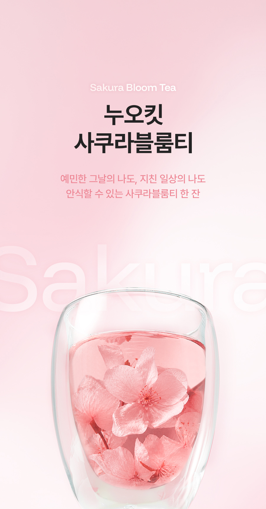 누오킷 사쿠라블룸티