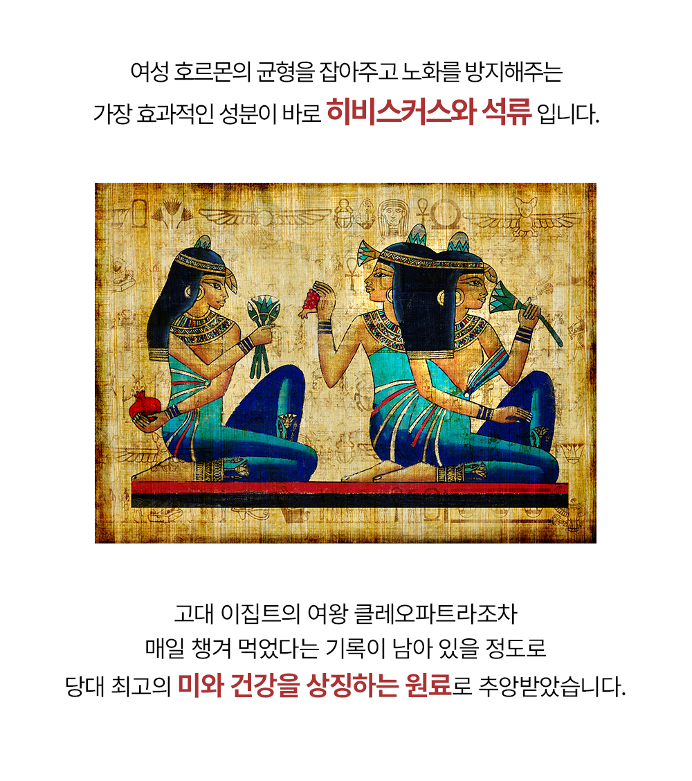 제로바디 골드컷